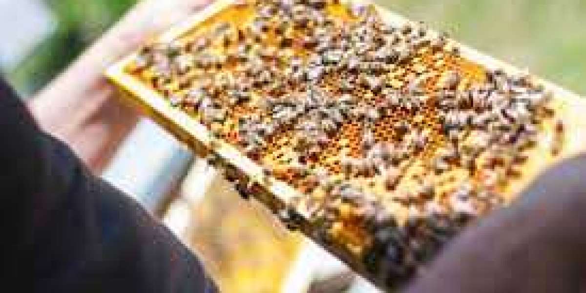 Exploring Beekeeping Events in Texas: A Hive of Knowledge and Community