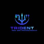 El Tridente Scs LLC Profile Picture