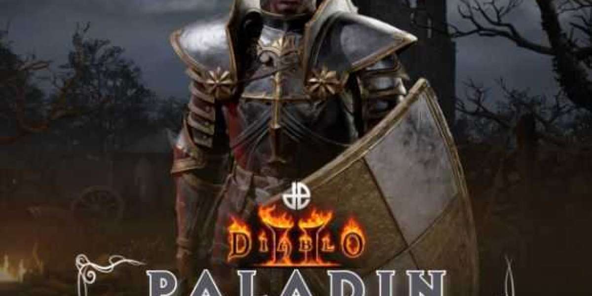 Paladins bring combat versatility and utility to Diablo 2 teams
