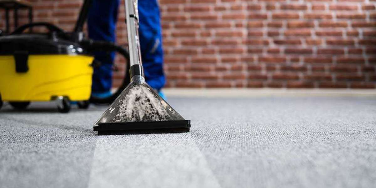 The Unexpected Benefits of Professional Carpet Cleaning Services