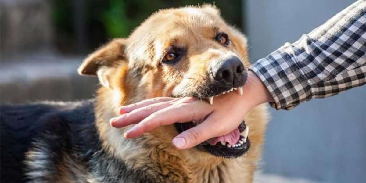 Strategies for Package Carrier Dog Bite Prevention