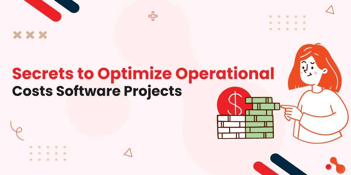 Secrets to Optimize Operational Costs Software Projects