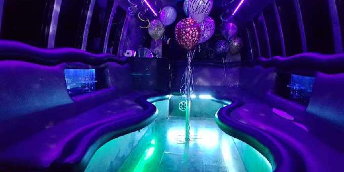 Party Bus Rentals For Birthdays