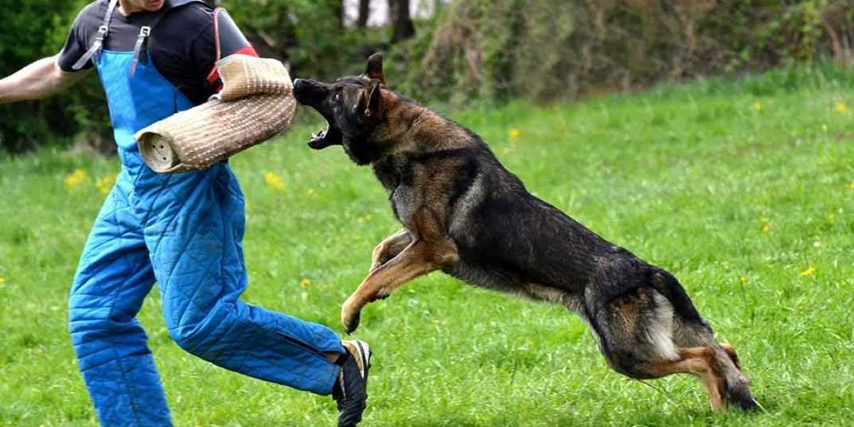 Dog Bite Prevention Essential Tips for Workplace Safety